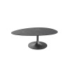 ALISSE  - Table basse waterglass forme irrégulière 