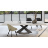 CANOPEE - Table pied papillon céramique travertin  